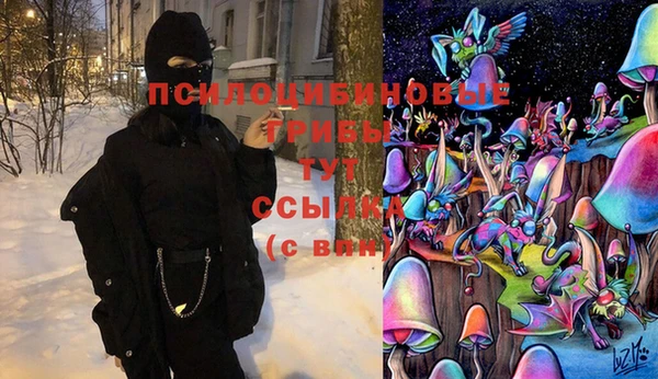 прущий лед Струнино