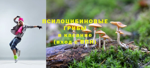 гидропоника Алзамай