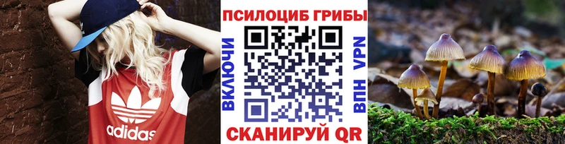хочу   Северская  Псилоцибиновые грибы GOLDEN TEACHER 